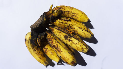 Close-up of lemon slice against white background