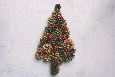 Directly above shot of pine cones on wall