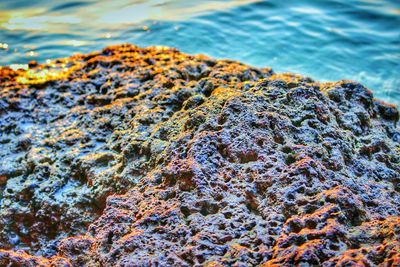 Close-up of rocks in sea