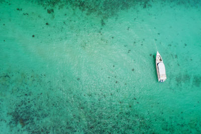 High angle view of floating in sea