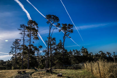 Low angle view of trees on landscape against blue sky