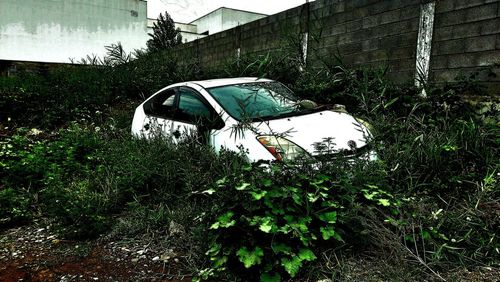 Abandoned car on field