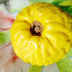 Close-up of yellow pumpkin