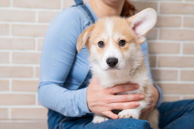 Midsection of woman with dog