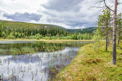 Scenic view of lake against sky