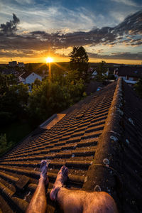 Low section of man by trees against sky during sunset