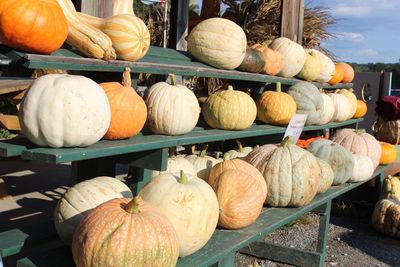 Pumpkins for sale at market stall