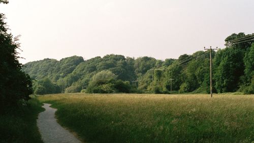 Scenic view of landscape against clear sky