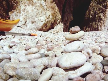 Close-up of crab on rock