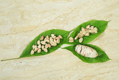 High angle view of bread on sand