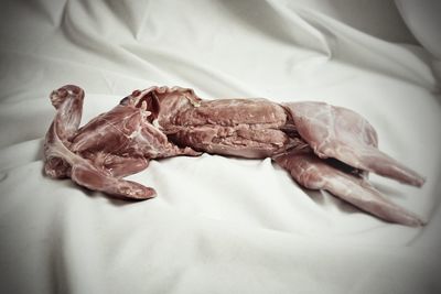 High angle view of meat on bed