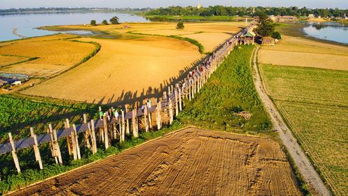 High angle view of agricultural field