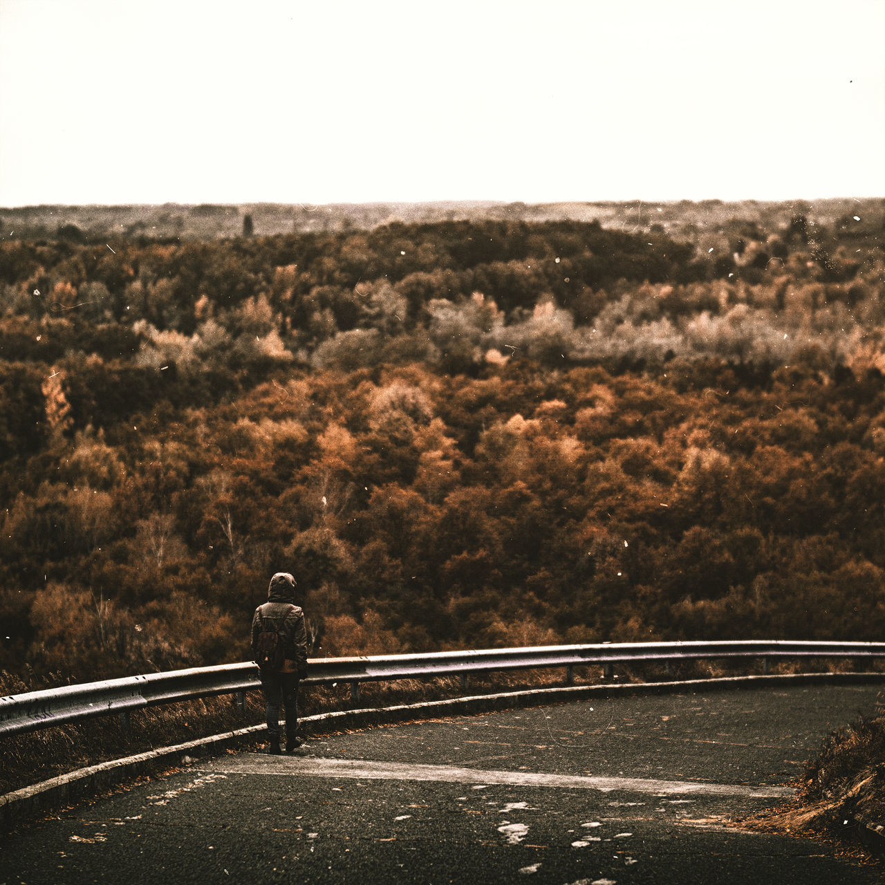 REAR VIEW OF MAN WALKING ON ROAD ALONG LANDSCAPE