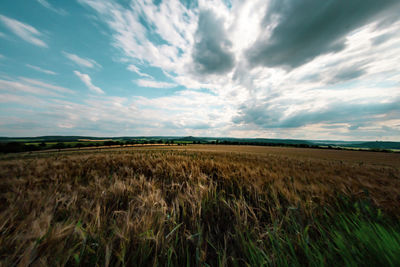 Scenic view of agricultural field against sky