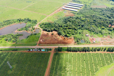 Scenic view of agricultural field