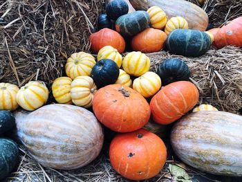 High angle view of pumpkins for sale