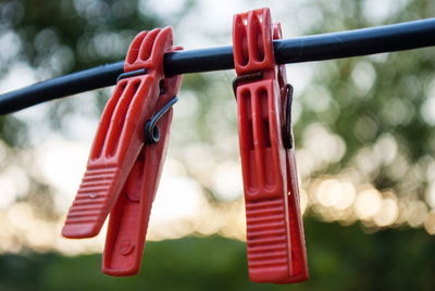 Close-up of clothes hanging on rope in park