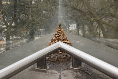 Metal structure in forest during winter