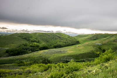 Scenic view of green landscape against sky