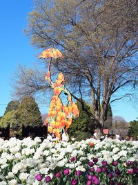 View of flowering plants against clear sky