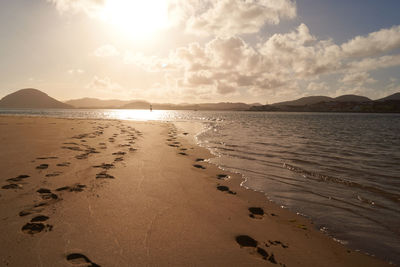 Laredo beach in summer