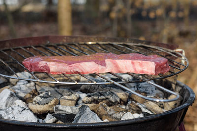 Close-up of meat on barbecue grill