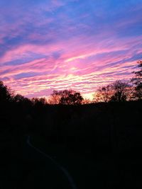 Silhouette trees against dramatic sky during sunset