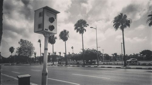 Road sign by palm trees against sky in city