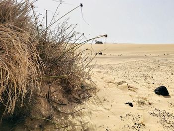 Scenic view of sand dunes against sky