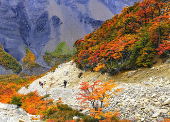 Scenic view of mountains during autumn