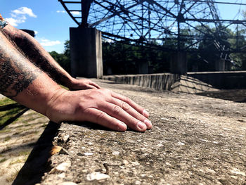 Midsection of person hand on tree