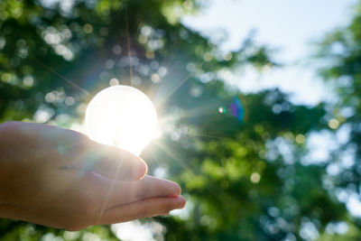 Close-up of hand holding plant against bright sun