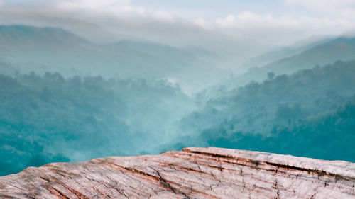 Wood countertop with forest and mountain in spring background