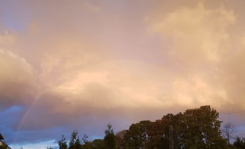 Low angle view of trees against sky during sunset