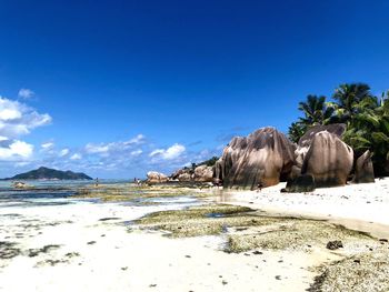 Scenic view of beach against blue sky