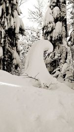 Man on snow covered field