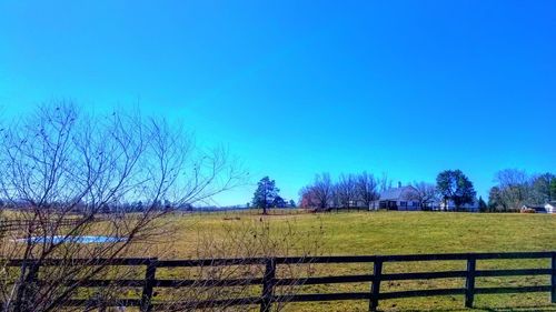 Scenic view of field against clear blue sky