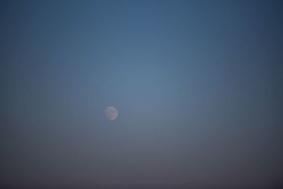 Low angle view of moon in sky