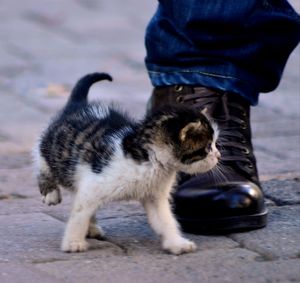 Low section of person standing on footpath