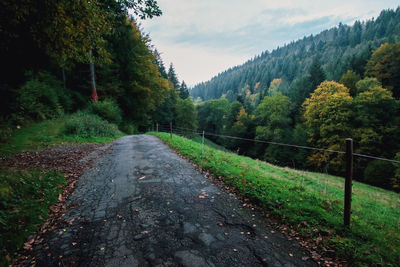 Road amidst trees against sky