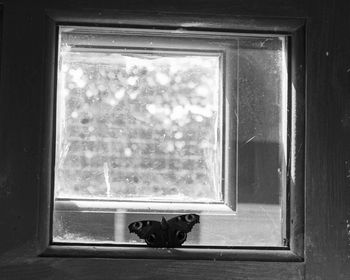 Closed window of house