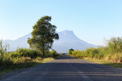 Road amidst trees against clear sky