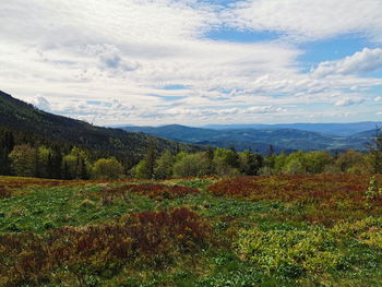 Scenic view of field against sky