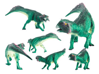 Close-up of lizard on white background