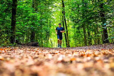 Man standing in forest