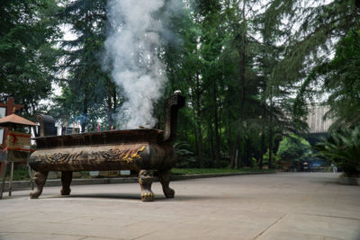 View of a horse standing against trees