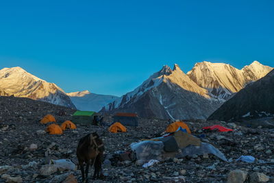 Camping tents at concordia camp, broadpeak mountain, k2 base camp, pakistan