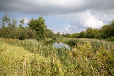 Scenic view of lake against sky