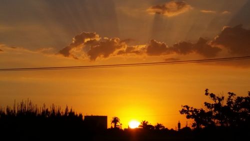 Silhouette of trees at sunset