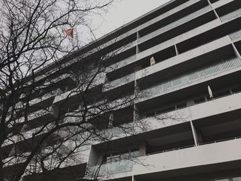Low angle view of tree in city
